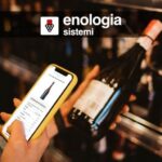 Mano che tiene uno smartphone mentre inquadra il qr dell'etichetta di una bottiglia di vino e gli restituisce le informazioni su quella bottiglia