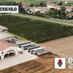 Vista aerea dell'azienda vitivinicola Cantina Gualtieri con i logo del software ENOLOGIA, di SISTEMI e del Corriere vinicolo